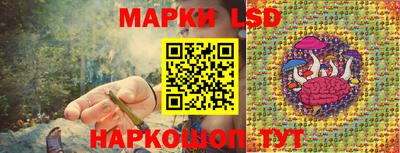 прущие грибы Усть-Илимск