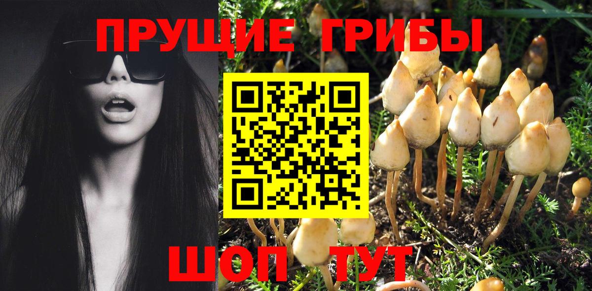 Михайловск  LSD-25  Вход с VPN  Alpha-PVP СК   ГАШ  МАРИХУАНА  МЕФ кристаллы 