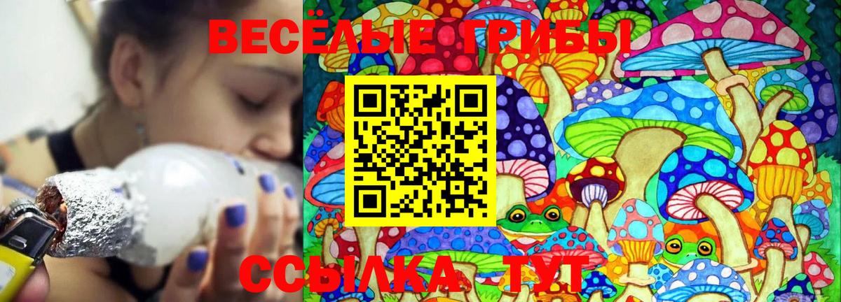Псилоцибиновые грибы Magic Shrooms Михайловск